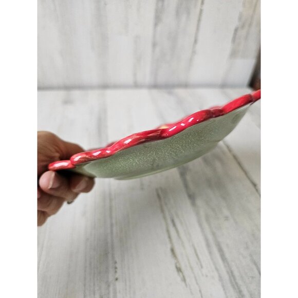 Pier 1 carynthum flower plate dessert salad red earthenware Bohemian unique set - Picture 7 of 7